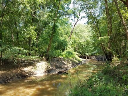 Undeveloped Land in Upshur County, Texas
