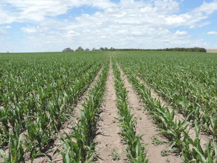 Undeveloped Land in Dundy County, Nebraska