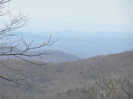Farm and Ranch in Pickens County, Georgia