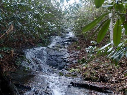 Recreational Property in Dawson County, Georgia
