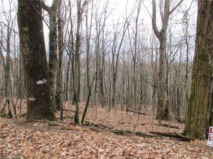 Farm and Ranch in Dawson County, Georgia