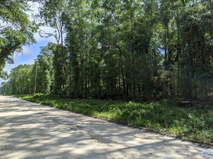 Undeveloped Land in Suwannee County, Florida