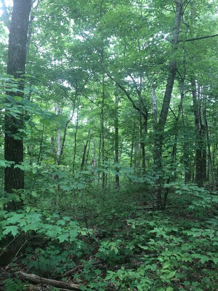 Land in Knox County, Tennessee