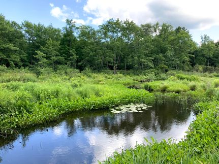 Riverfront Property in Oswego County, New York
