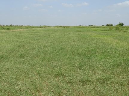 Undeveloped Land in Hidalgo County, Texas