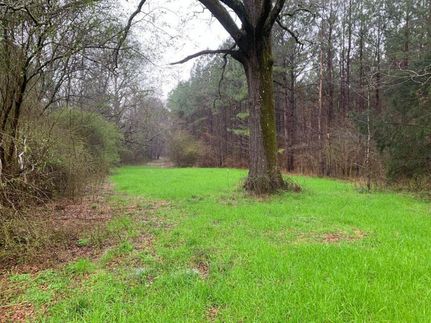 Timberland Property in Hinds County, Mississippi