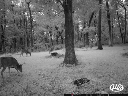 Land in Clayton County, Iowa