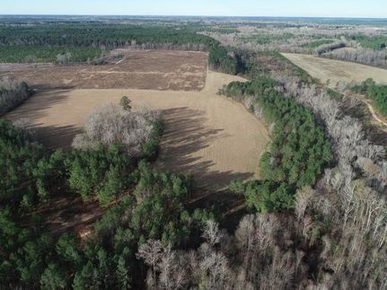 Undeveloped Land in Bamberg County, South Carolina