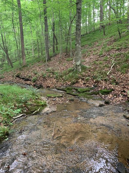 House in Williamson County, Tennessee