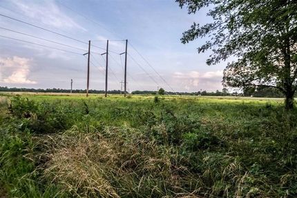 Undeveloped Land in Butler County, Missouri