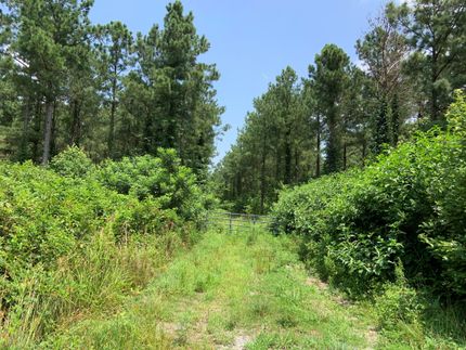 Recreational Property in Westmoreland County, Virginia