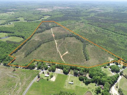 Hunting Property in Charlotte County, Virginia