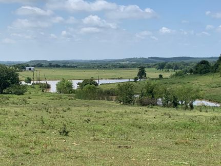 Timberland Property in Okfuskee County, Oklahoma
