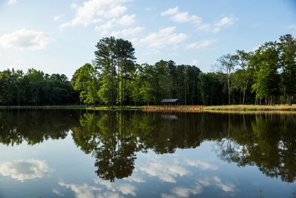Undeveloped Land in Wood County, Texas