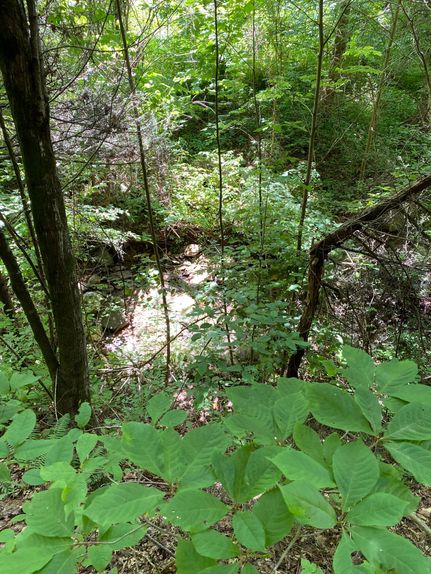 Land in Hancock County, Tennessee