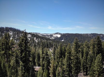 Timberland Property in Sierra County, California