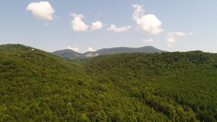 Commercial Property in Pickens County, South Carolina
