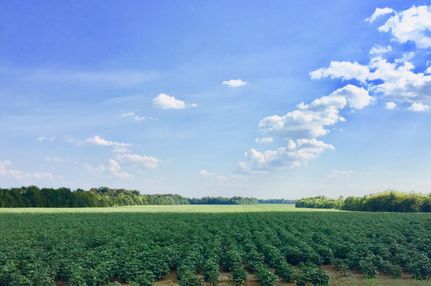 Undeveloped Land in Montgomery County, Alabama