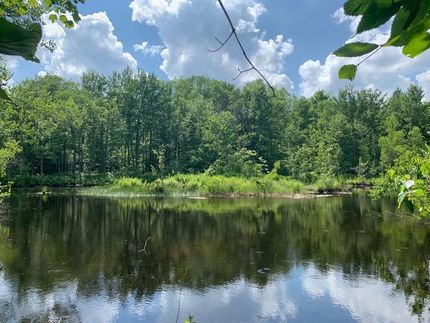 Undeveloped Land in Oneida County, New York