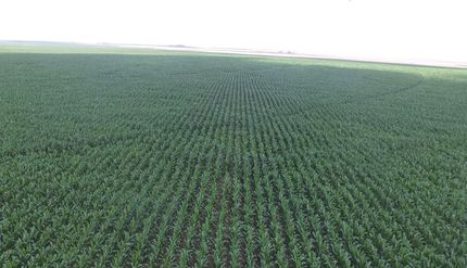 Recreational Property in Cimarron County, Oklahoma