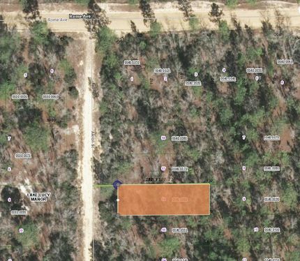 Recreational Property in Putnam County, Florida
