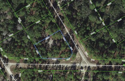 Undeveloped Land in Highlands County, Florida