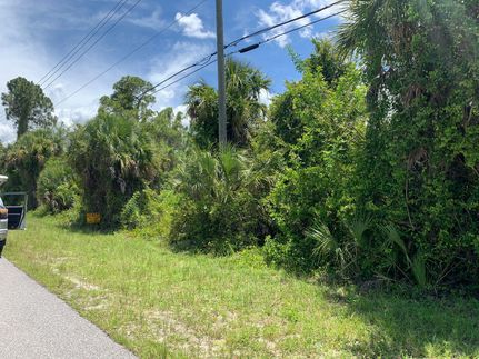 Undeveloped Land in Charlotte County, Florida