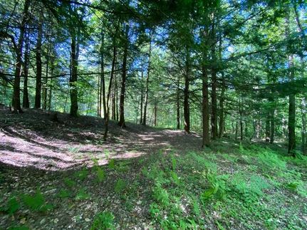 Hunting Property in Oneida County, New York