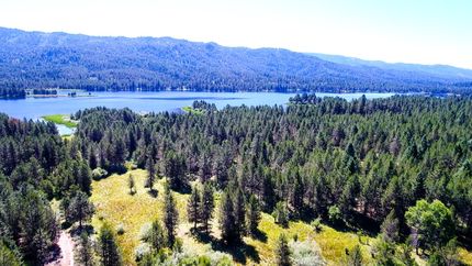 Timberland Property in Valley County, Idaho