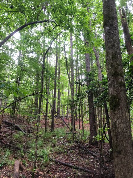Land in Quitman County, Georgia