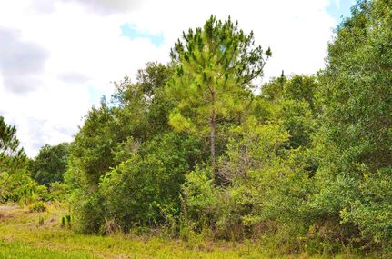 Undeveloped Land in Sarasota County, Florida
