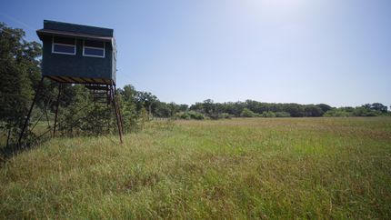 Undeveloped Land in Milam County, Texas