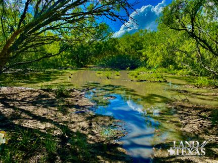 Farm and Ranch in Jim Wells County, Texas