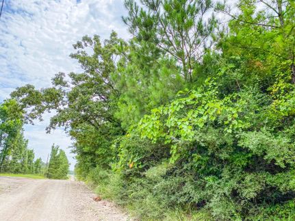 Recreational Property in Trinity County, Texas