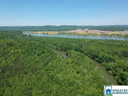 Farm and Ranch in Marshall County, Alabama