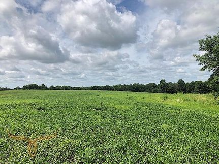Land in Linn County, Missouri