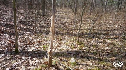 Land in Osceola County, Michigan