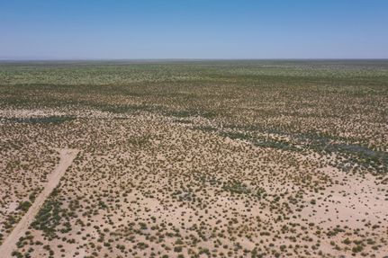 Timberland Property in Hudspeth County, Texas