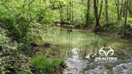 Undeveloped Land in Perry County, Ohio