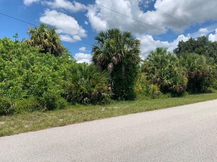 Undeveloped Land in Charlotte County, Florida