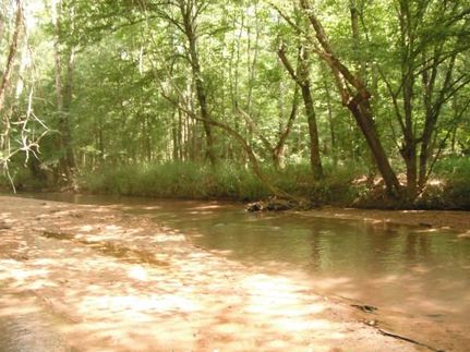 Undeveloped Land in Union County, South Carolina