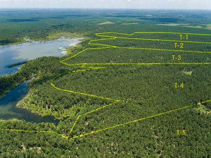 Timberland Property in San Augustine County, Texas