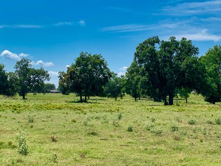 Hunting Property in Rains County, Texas