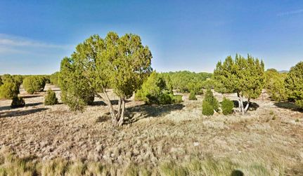 Undeveloped Land in Navajo County, Arizona