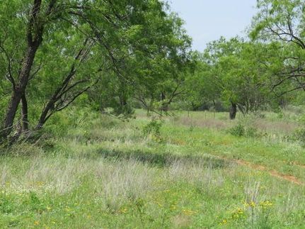 Farm and Ranch in Coke County, Texas
