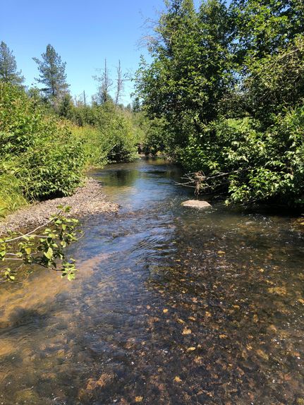 Timberland Property in Bonner County, Idaho