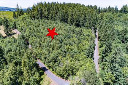 Undeveloped Land in Columbia County, Oregon