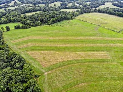 Timberland Property in Callaway County, Missouri
