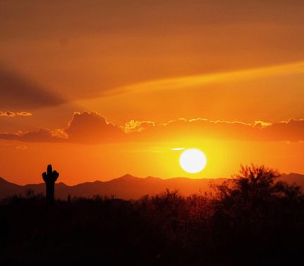 Farm and Ranch in Maricopa County, Arizona
