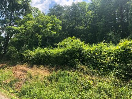 Farm and Ranch in Grainger County, Tennessee